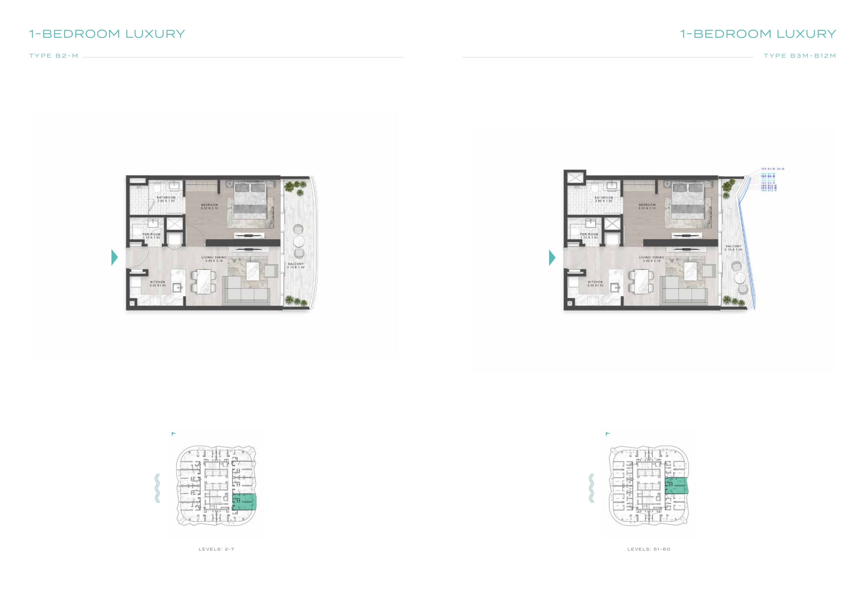 1-BEDROOM LUXURY 1-BEDROOM LUXURY TYPE B2-M TYPE B3M-B12M